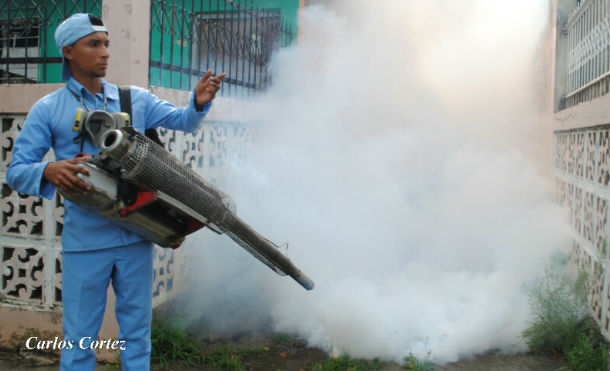 Limpien techos y eliminen la maleza para evitar más zancudos