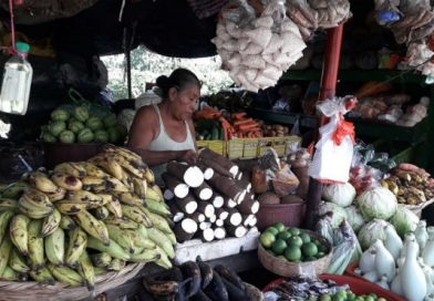 Se restablece actividad comercial y económica en el país