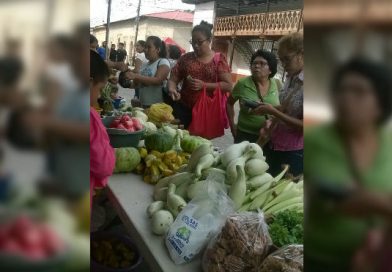Desarrollan Feria de la economía Familiar en Nueva Segovia