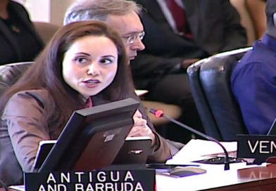 Venezuela pide ante la OEA el cese del financiamiento a la violencia en Nicaragua