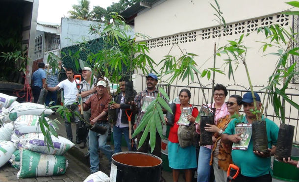 MEFCCA entrega plántulas de bambú a protagonistas de El Tuma La Dalia y Rancho Grande