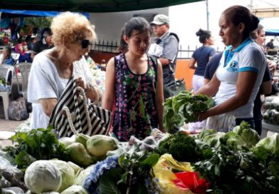 En paz, tranquilidad y normalidad se desarrolla feria de las hortalizas en Matagalpa