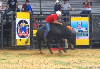 Los mejores toros de Río Blanco retaron a los montadores más experimentados en Managua