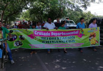 Chinandega inicia cruzada departamental de reforestación