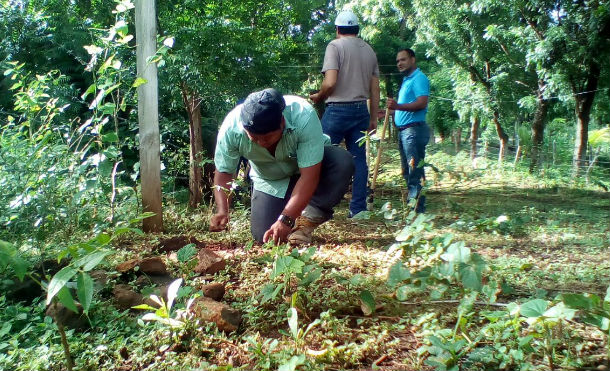 INAFOR continúa Jornada de Reforestación en Chontales