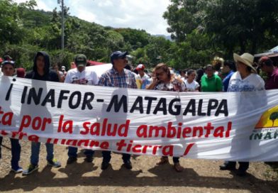 INAFOR realiza lanzamiento departamental de la Cruzada Nacional de Reforestación