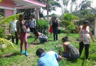 Boaco: Minsa implementa el uso de plantas como medicina alterna en casas maternas
