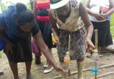 Mefcca capacita a protagonistas de territorios indígenas del Caribe Norte sobre control de plagas