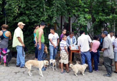 Ministerio de Salud inicia Jornada de Vacunación Canina