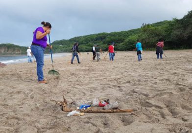 Realizan conservación y cuido de playa donde cada año anidan más de 60 mil tortugas