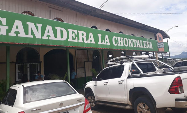Chontales: Subasta Ganadera "La Chontaleña", continúa con buen empuje en ventas 