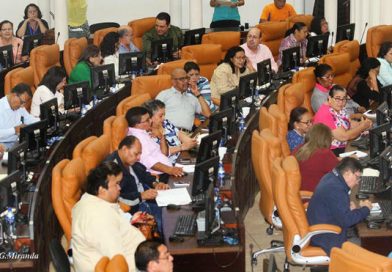 Aprueban Ley de Creación de Bonos para el Fortalecimiento de la Solidez Financiera y Comité de Estabilidad Financiera