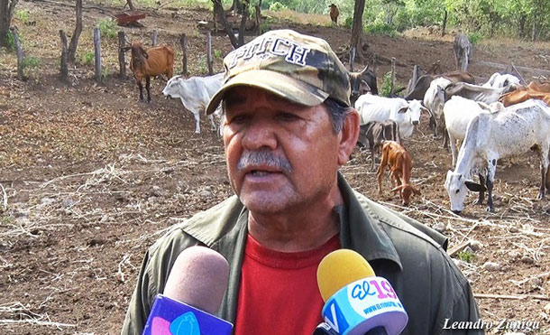 En Villa El Carmen los productores labran la tierra con mucho entusiasmo