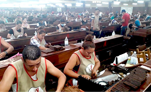 Fábricas tabacaleras de Estelí trabajan con normalidad