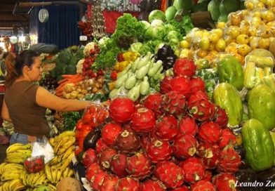 Actividad económica en mercados se consolida cada día