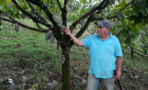 El Tuma – La Dalia: Cooperativas de Río Blanco trabajan para mejorar y prosperar