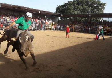 No hay agosto sin monta de toros en el sector de Tiscapa