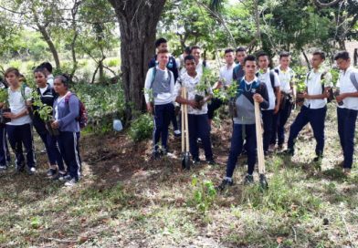 Estelí: Estudiantes participan en jornada de reforestación en amor a Nicaragua