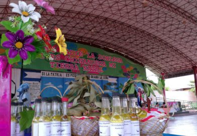 MEFCCA desarrolla Concurso Interdepartamental de Agro-innovación en Chinandega
