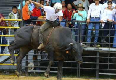Fiesta taurina desbordada este primero de agosto