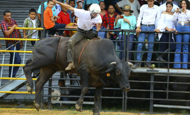 Fiesta taurina desbordada este primero de agosto