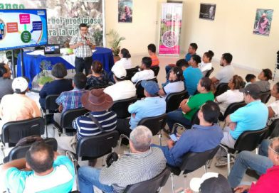 Chinandega: INTA KOPIA expone programa para el desarrollo de tecnología para el incremento de la productividad