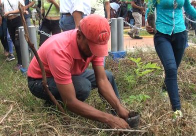 Nueva Segovia: Realizan lanzamiento departamental de la Cruzada Nacional de Reforestación