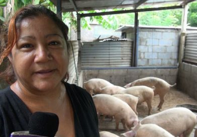 Nindirí: Abnegación y buena administración el éxito de la mujer emprendedora