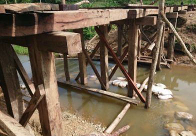 Alcaldía Sandinista de Puerto Cabezas construye puente en zona productiva de Tasba Pri