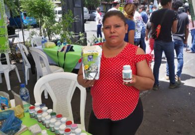 Mejora tu salud con el consumo de la moringa o marango