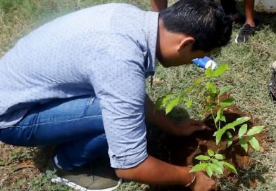 Jóvenes de Nindirí realizan jornada de reforestación y abatización en saludo a las fiestas patrias