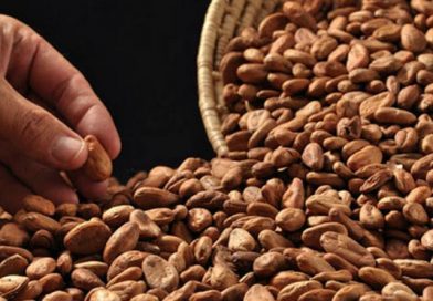 Nicaragua participó en elección del Comité Ejecutivo de la Comisión Internacional del Cacao