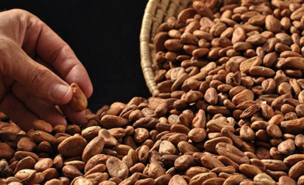 Nicaragua participó en elección del Comité Ejecutivo de la Comisión Internacional del Cacao