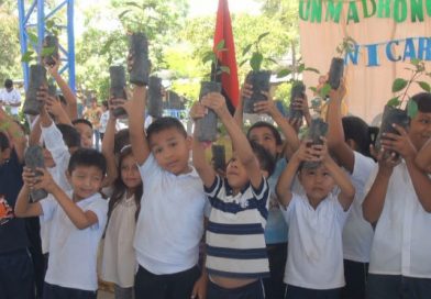 Inafor lanza campaña ´Un madroño para mi país´ en Nueva Segovia