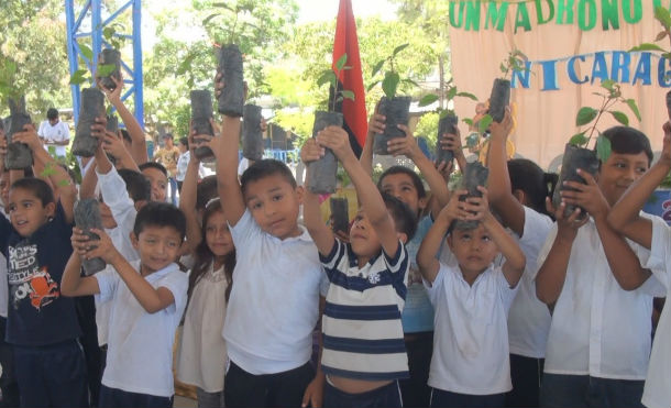 Inafor lanza campaña ´Un madroño para mi país´ en Nueva Segovia