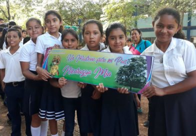 Chontales: INAFOR lanza campaña “Un madroño para mi país” en Juigalpa