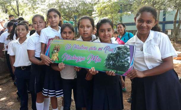 Chontales: INAFOR lanza campaña “Un madroño para mi país” en Juigalpa