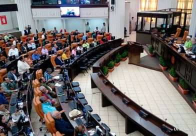 Asamblea Nacional aprueba creación de ENIMEX para fortalecer seguridad alimentaria y promover a la pequeña empresa
