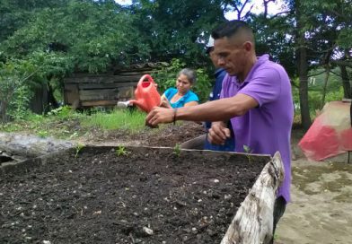 Familias de Madriz destacan la importancia del proyecto Patio Saludable para su economía