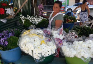 Flores para los fieles difuntos