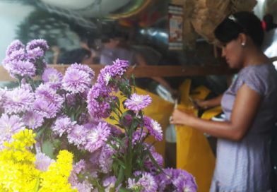 Floristería Jco y Mandy, detalles que florecen en un emprendimiento familiar