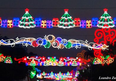 Avanza instalación de adornos navideños en la Avenida de Bolívar a Chávez