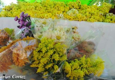 Acérquese a la Avenida de Bolívar a Chávez para comprar sus flores