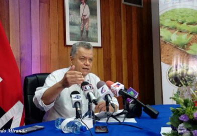 Sobresaliente producción de frijol rojo y maíz a nivel nacional