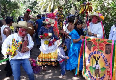 Familias de Masaya participan en la tradicional cortada del Palo Lucio
