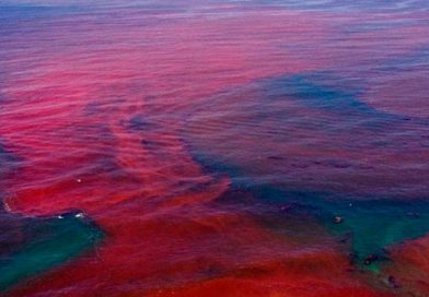 Marea Roja se moviliza y probablemente de aquí al viernes salga del país