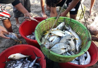 San Rafael del Sur: Pescadores de Masachapa trabajan con normalidad