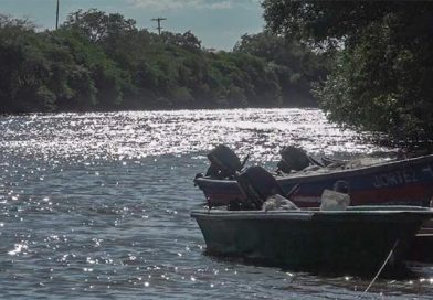 En estas vacaciones disfrute de un paseo en el Estero "El Tamarindo"