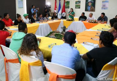 Jóvenes ambientalistas se reúnen con el teniente de la Alcaldía de Ciudad Sostenible en Ajuntament de Sant Boi de Llobregat