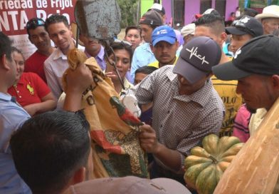 Nueva Segovia: octava edición de la Feria del Frijol